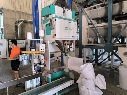 Ewinall DCS-50FB-C Automatic Manual Rice Packing Machine 5kg 10kg 15kg 25kg