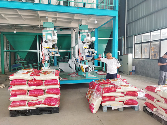 High Speed Automatic Rice Packing Scale Machine Manual DCS-50FB3 Ewinall