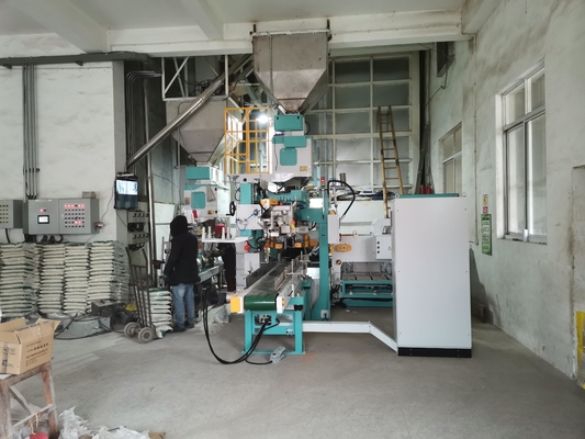 Double Bag Warehouse Fully Automatic Packaging Machine 5-25KG For Rice Beans