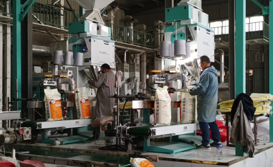 High Weighing Precision Grain Packing Machines DCS-50FB3+ 5 - 50KG Fast Packing