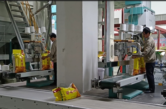 High Weighing Precision Grain Packing Machines DCS-50FB3+ 5 - 50KG Fast Packing