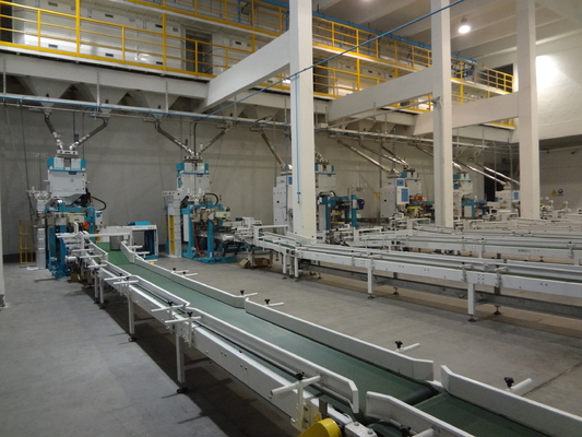 Servo Motion Multifunction Automated Packaging Lines Converying Robot Palletzing System